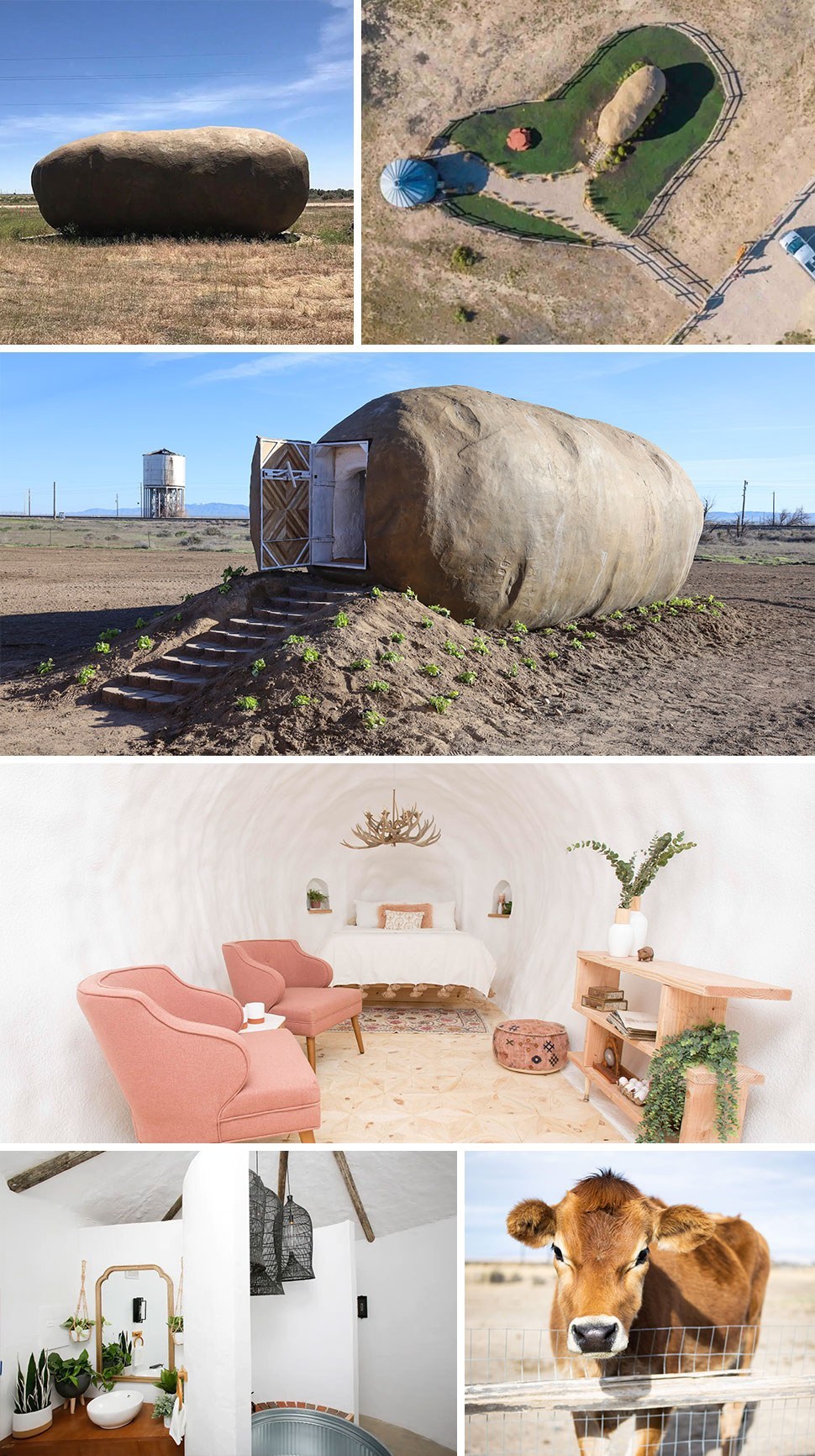 Potato Hotel Feature